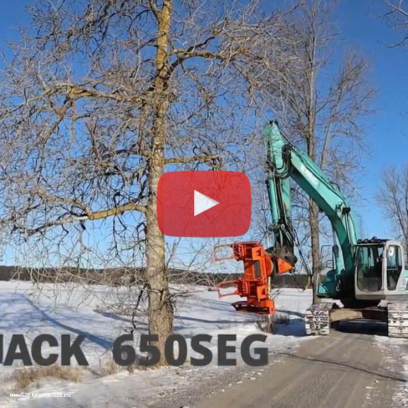 Biojack 650SEG, large tree removal.mp4